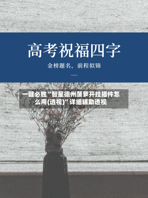 一键必胜“智星德州菠萝开挂插件怎么用(透视)”详细辅助透视-第2张图片
