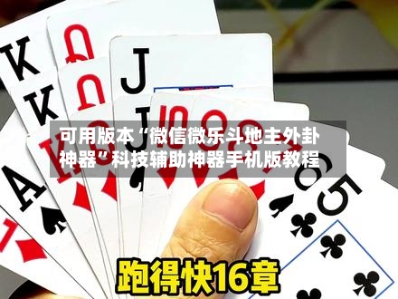 可用版本“微信微乐斗地主外卦神器”科技辅助神器手机版教程-第3张图片