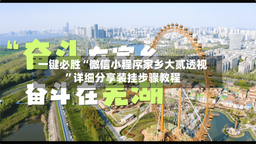 一键必胜“微信小程序家乡大贰透视”详细分享装挂步骤教程-第3张图片