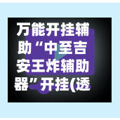 万能开挂辅助“中至吉安王炸辅助器”开挂(透视)辅助教程-第2张图片