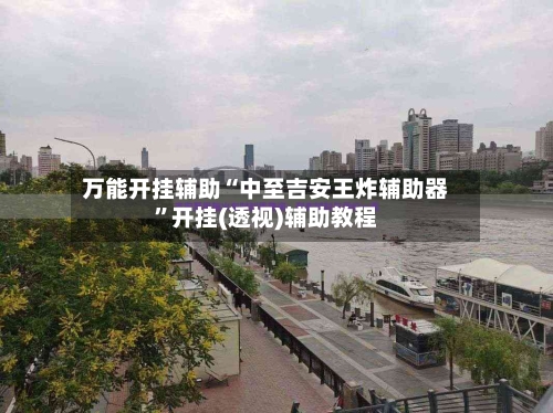 万能开挂辅助“中至吉安王炸辅助器”开挂(透视)辅助教程-第3张图片