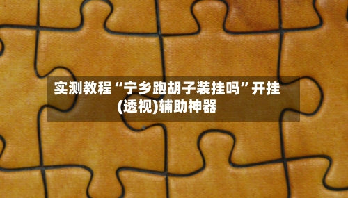 实测教程“宁乡跑胡子装挂吗”开挂(透视)辅助神器-第2张图片