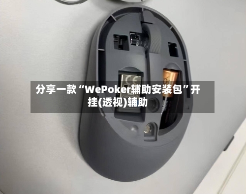 分享一款“WePoker辅助安装包”开挂(透视)辅助-第3张图片