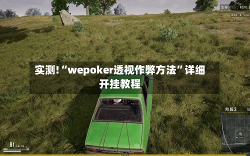 实测!“wepoker透视作弊方法	”详细开挂教程-第2张图片