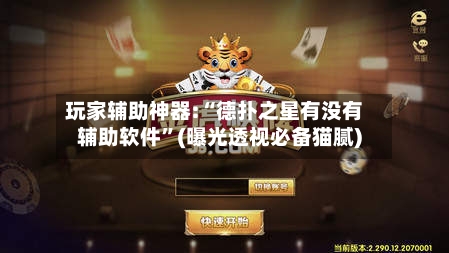 玩家辅助神器:“德扑之星有没有辅助软件”(曝光透视必备猫腻)-第2张图片