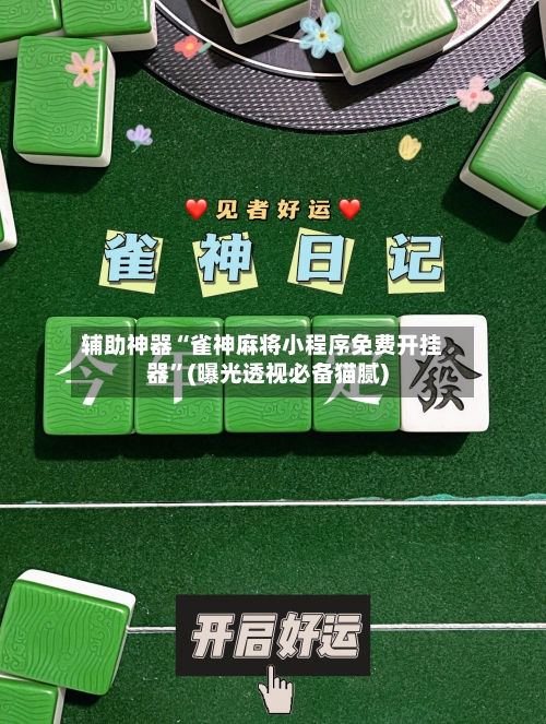 辅助神器“雀神麻将小程序免费开挂器”(曝光透视必备猫腻)-第2张图片