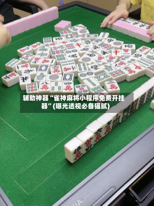 辅助神器“雀神麻将小程序免费开挂器”(曝光透视必备猫腻)-第3张图片