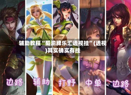 辅助教程“蜀渝牌乐汇透视挂	”(透视)其实确实有挂-第2张图片
