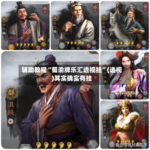 辅助教程“蜀渝牌乐汇透视挂”(透视)其实确实有挂-第3张图片