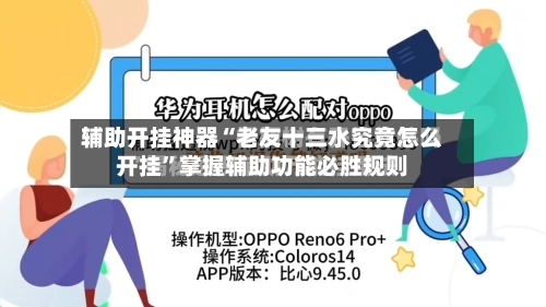 辅助开挂神器“老友十三水究竟怎么开挂”掌握辅助功能必胜规则-第3张图片