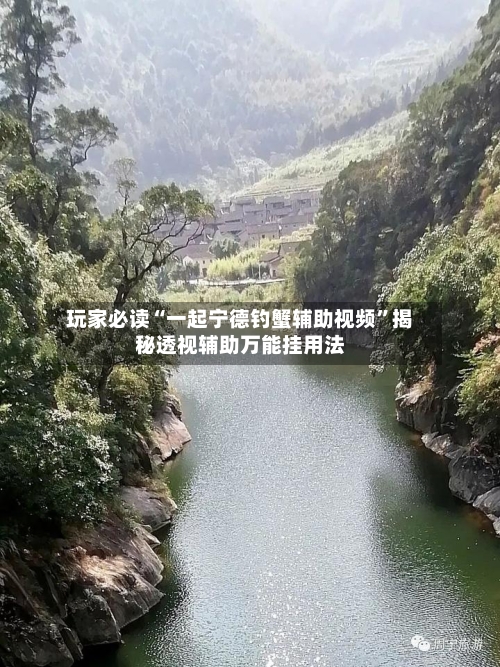玩家必读“一起宁德钓蟹辅助视频”揭秘透视辅助万能挂用法-第3张图片