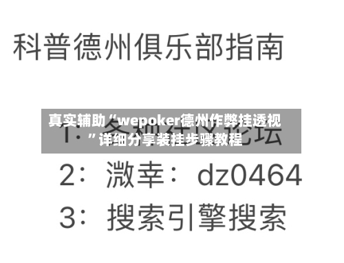 真实辅助“wepoker德州作弊挂透视”详细分享装挂步骤教程-第3张图片