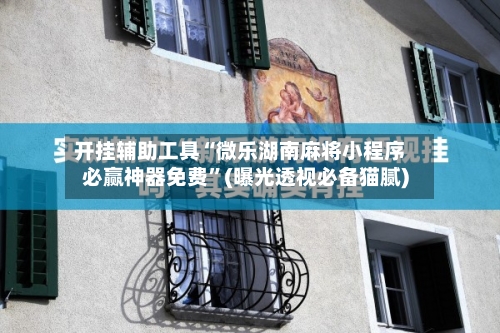 开挂辅助工具“微乐湖南麻将小程序必赢神器免费”(曝光透视必备猫腻)