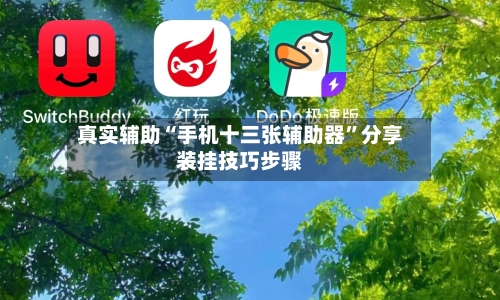 真实辅助“手机十三张辅助器	”分享装挂技巧步骤-第2张图片