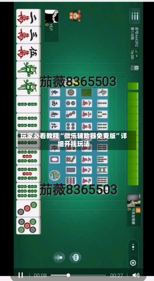 玩家必看教程“微乐辅助器免费版”详细开挂玩法