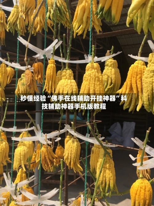 秒懂经验“佛手在线辅助开挂神器”科技辅助神器手机版教程-第2张图片