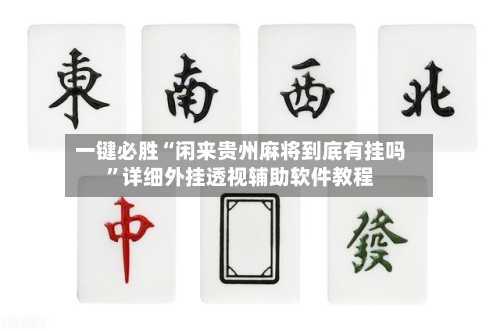 一键必胜“闲来贵州麻将到底有挂吗”详细外挂透视辅助软件教程-第2张图片