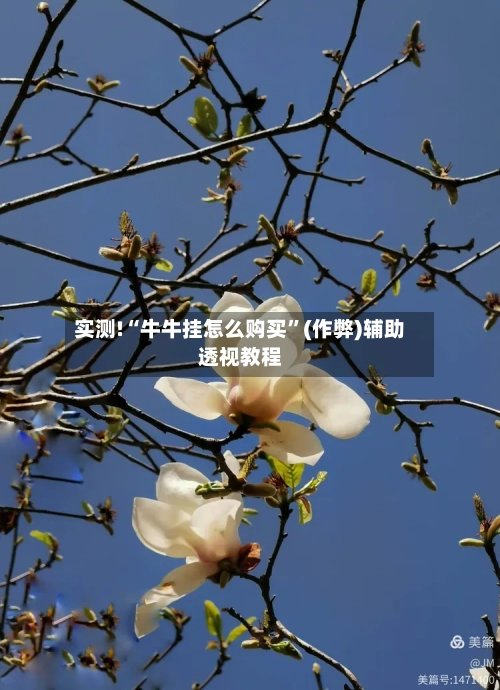 实测!“牛牛挂怎么购买”(作弊)辅助透视教程-第2张图片