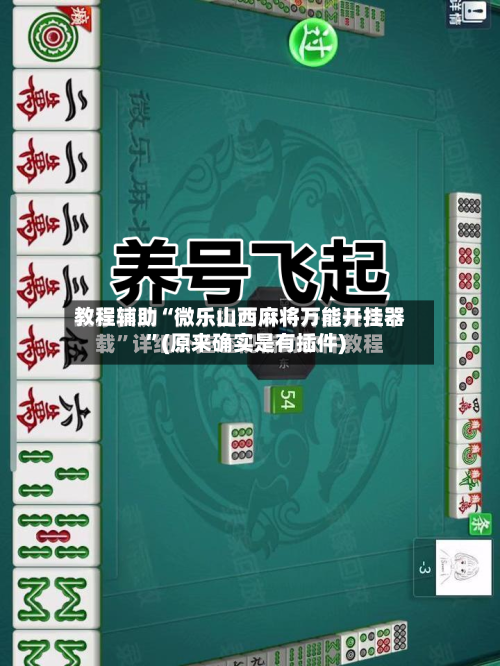 教程辅助“微乐山西麻将万能开挂器”(原来确实是有插件)-第2张图片