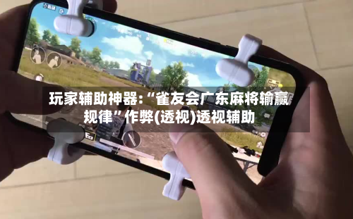 玩家辅助神器:“雀友会广东麻将输赢规律”作弊(透视)透视辅助-第2张图片