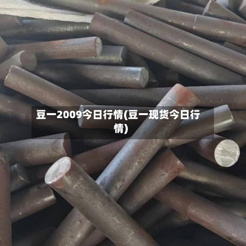 豆一2009今日行情(豆一现货今日行情)