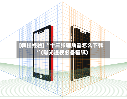 [教程经验] “十三张辅助器怎么下载”(曝光透视必备猫腻)-第3张图片