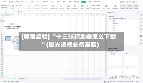 [教程经验] “十三张辅助器怎么下载	”(曝光透视必备猫腻)-第2张图片