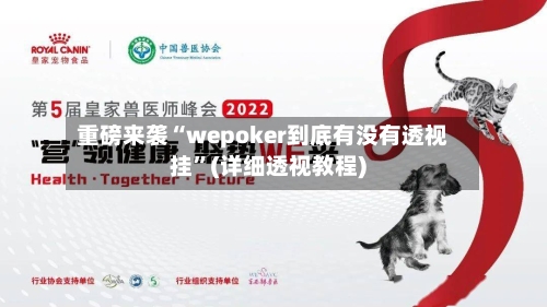 重磅来袭“wepoker到底有没有透视挂”(详细透视教程)-第3张图片