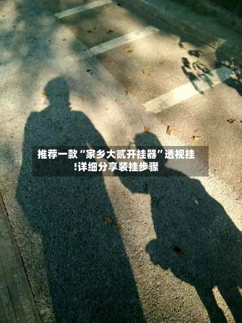 推荐一款“家乡大贰开挂器	”透视挂!详细分享装挂步骤-第2张图片