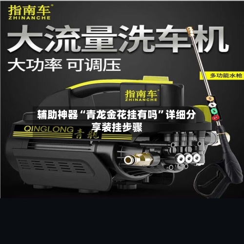 辅助神器“青龙金花挂有吗	”详细分享装挂步骤-第2张图片
