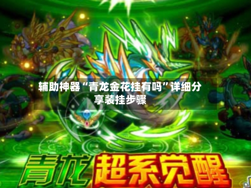 辅助神器“青龙金花挂有吗”详细分享装挂步骤