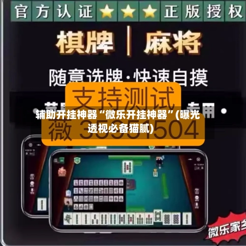 辅助开挂神器“微乐开挂神器”(曝光透视必备猫腻)-第3张图片