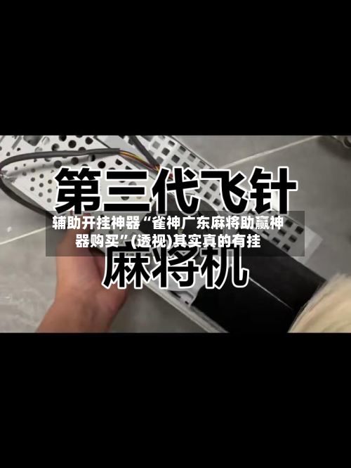 辅助开挂神器“雀神广东麻将助赢神器购买”(透视)其实真的有挂-第2张图片