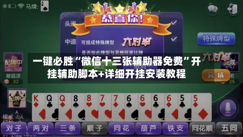 一键必胜“微信十三张辅助器免费”开挂辅助脚本+详细开挂安装教程-第2张图片