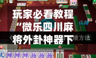 玩家必看教程“微乐四川麻将外卦神器下载”(透视挂)辅助透视教程