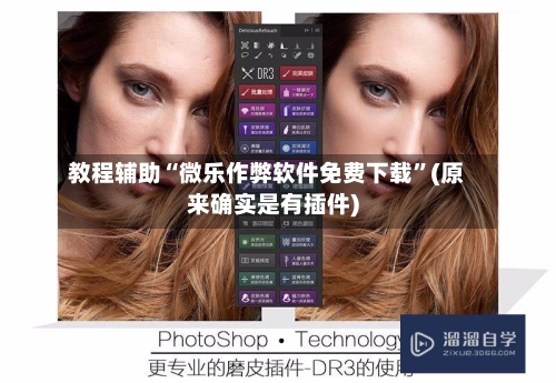 教程辅助“微乐作弊软件免费下载”(原来确实是有插件)
