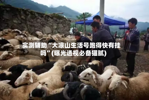 实测辅助“大凉山生活号跑得快有挂吗”(曝光透视必备猫腻)-第2张图片