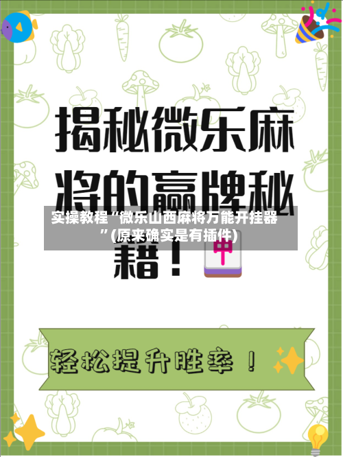 实操教程“微乐山西麻将万能开挂器”(原来确实是有插件)-第2张图片