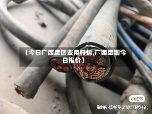 【今日广西废铜费用行情,广西废铜今日报价】