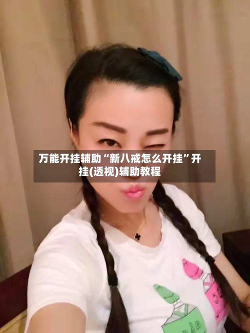 万能开挂辅助“新八戒怎么开挂”开挂(透视)辅助教程-第3张图片