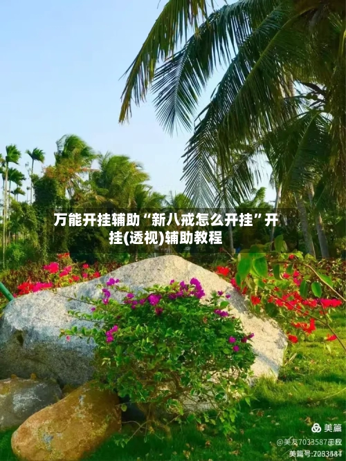 万能开挂辅助“新八戒怎么开挂”开挂(透视)辅助教程-第2张图片