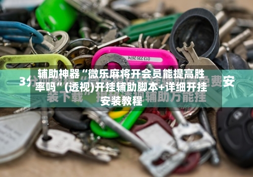 辅助神器“微乐麻将开会员能提高胜率吗”(透视)开挂辅助脚本+详细开挂安装教程
