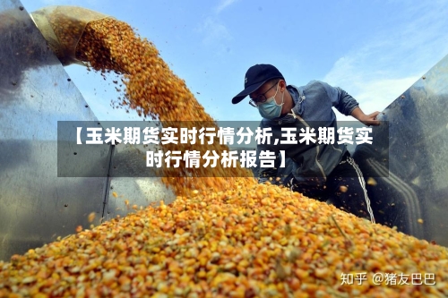 【玉米期货实时行情分析,玉米期货实时行情分析报告】-第2张图片