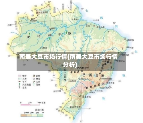 南美大豆市场行情(南美大豆市场行情分析)