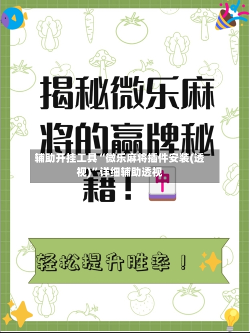 辅助开挂工具“微乐麻将插件安装(透视)”详细辅助透视