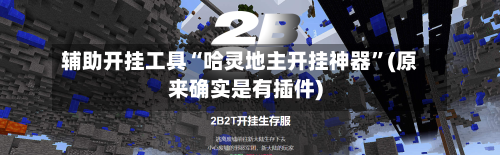 辅助开挂工具“哈灵地主开挂神器”(原来确实是有插件)-第3张图片