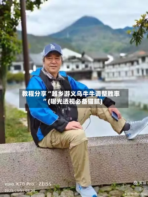 教程分享“越乡游义乌牛牛调整胜率”(曝光透视必备猫腻)-第3张图片