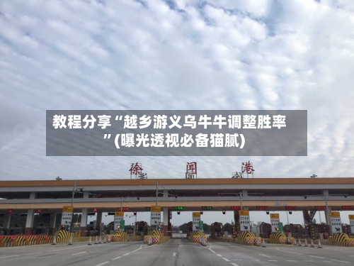 教程分享“越乡游义乌牛牛调整胜率	”(曝光透视必备猫腻)-第2张图片