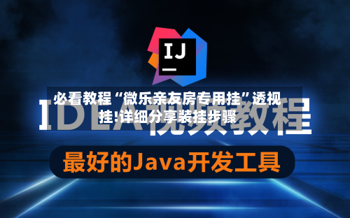必看教程“微乐亲友房专用挂”透视挂!详细分享装挂步骤