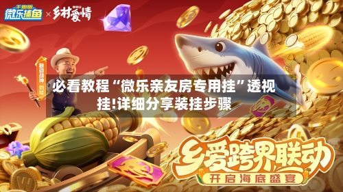 必看教程“微乐亲友房专用挂	”透视挂!详细分享装挂步骤-第2张图片